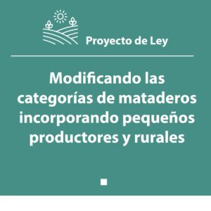 Modificando las categorías de mataderos: incorporando productores pequeños y rurales