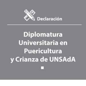 Declaración Diplomatura Universitaria en Puericultura y Crianza